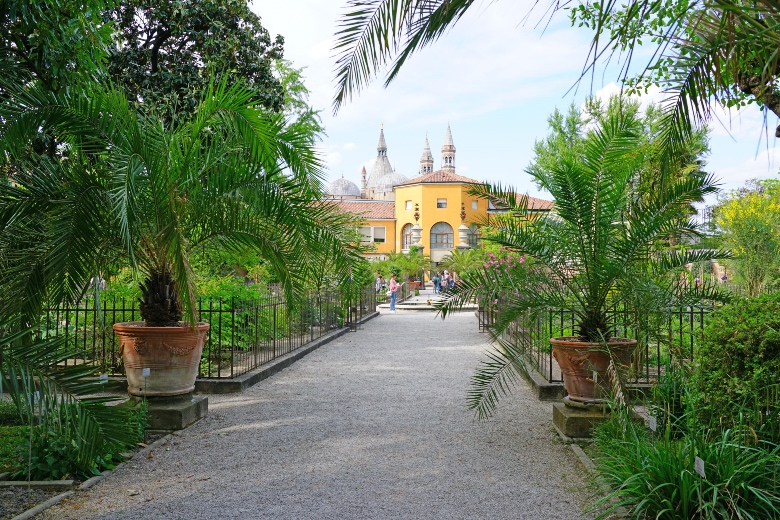 17 Great Things To Do In Padua Italy 20 Must See Attractions 17 Great Things To Do In Padua Italy 20 Must See Attractions
