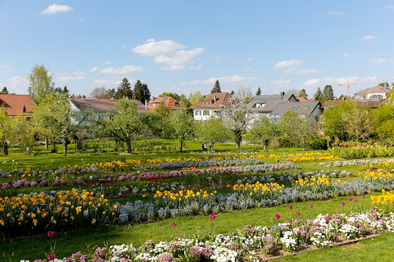 Botanischer Garten - Botanical Gardens Bern Switzerland