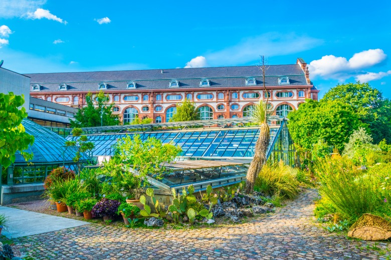 Botanischer Garten der Universität Basel Switzerland