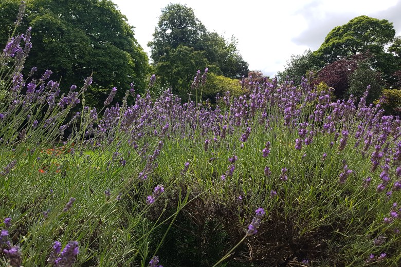 Fletcher Moss Park Manchester UK