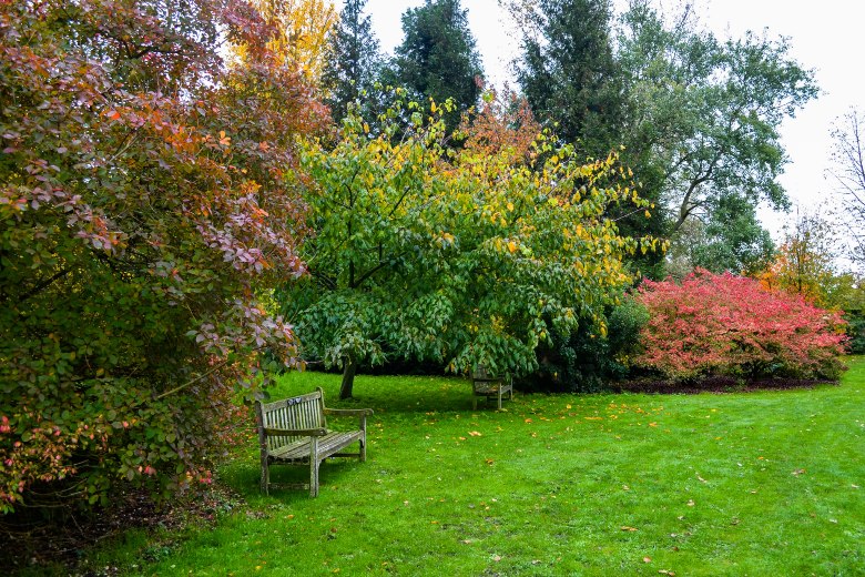 The Botanic Gardens Cambridge UK