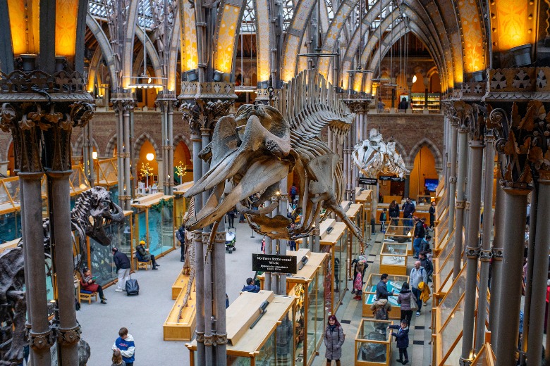 The-Oxford-University-Museum-of-Natural-History-Oxford.jpg