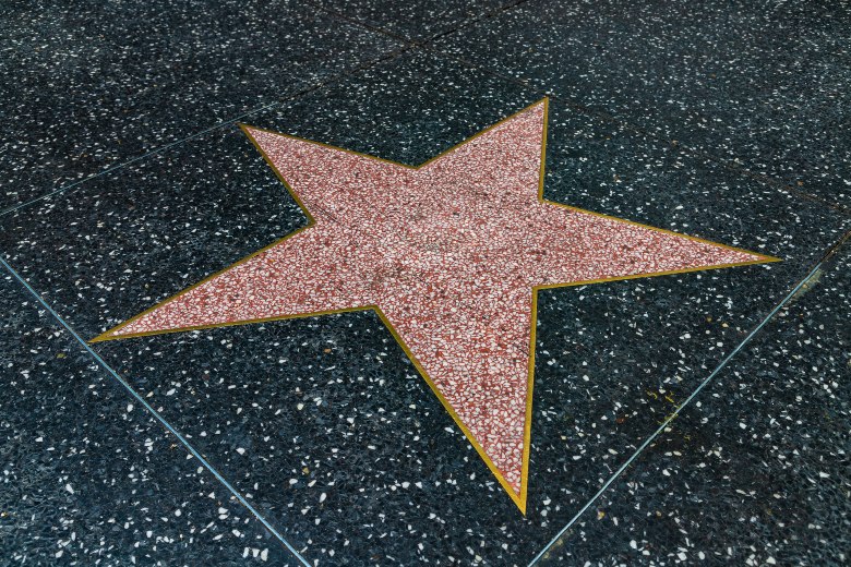 Hollywood Walk of Fame California (1)