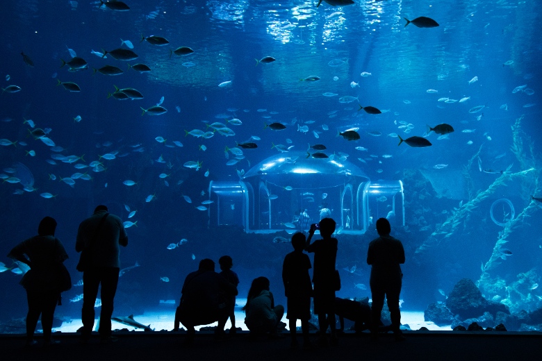 Poema del Mar Aquarium Gran Canaria