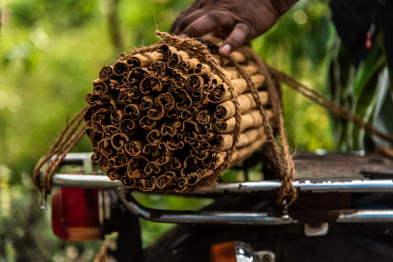 Cinnamon Tastings Sri Lanka
