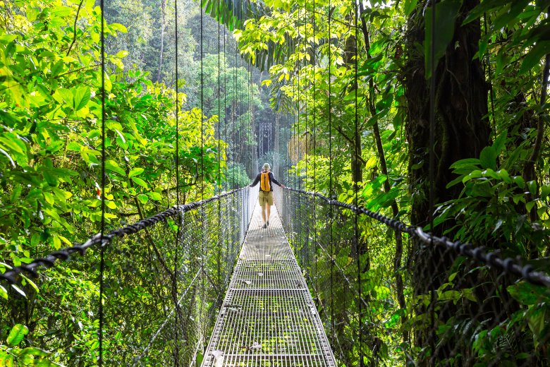 Day 7 - Monteverde Hanging Bridges (1)