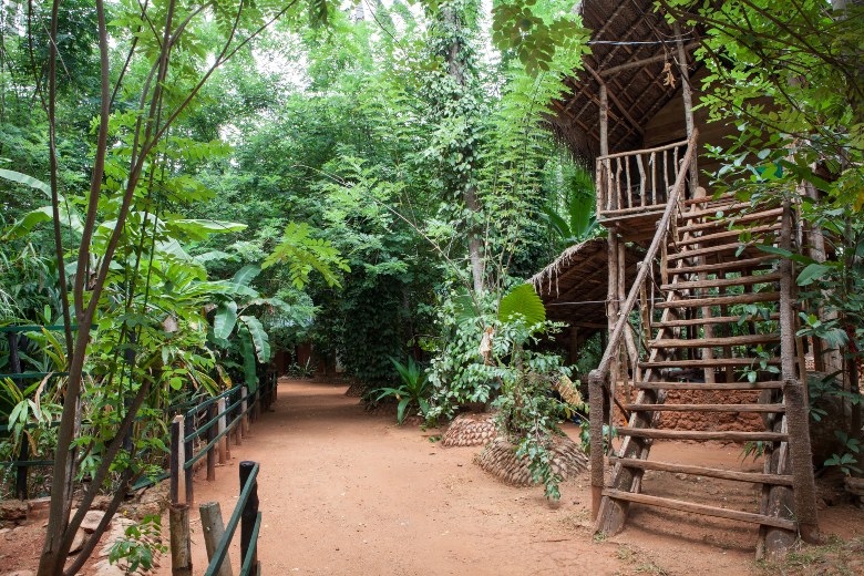 Rent a Treehouse Sri Lanka