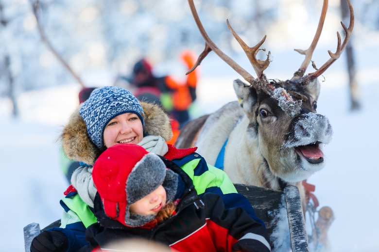 Reindeer Safari Lapland Finland