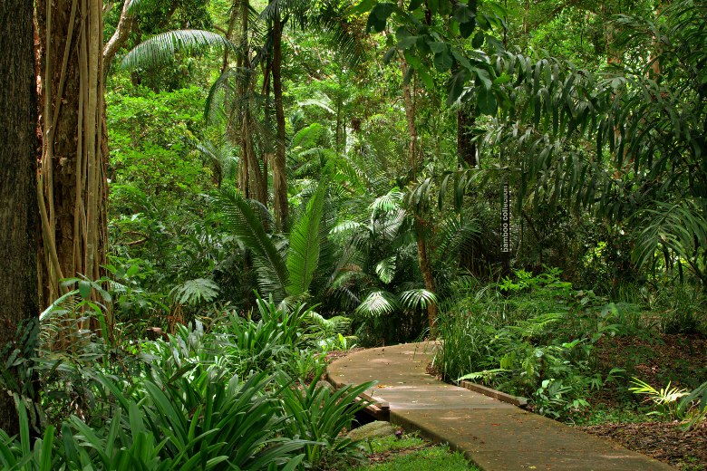 Cairns Botanical Gardens Cains