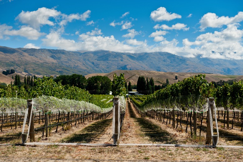 Central Otago Queenstown