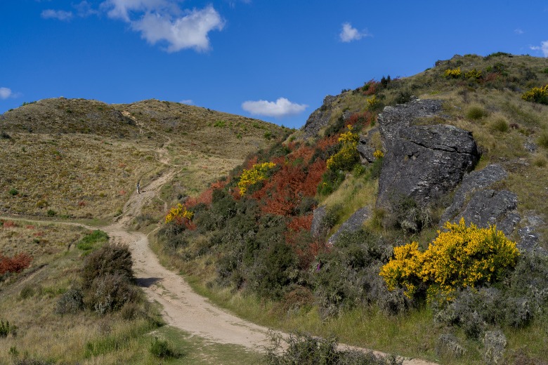 Cycle the Queenstown Trail Queenstown