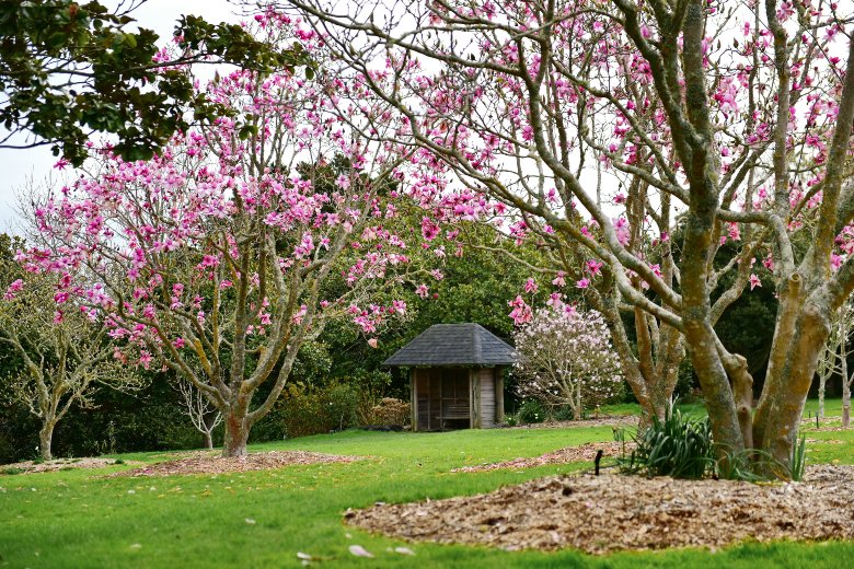The Auckland Botanical Gardens Auckland New Zealand
