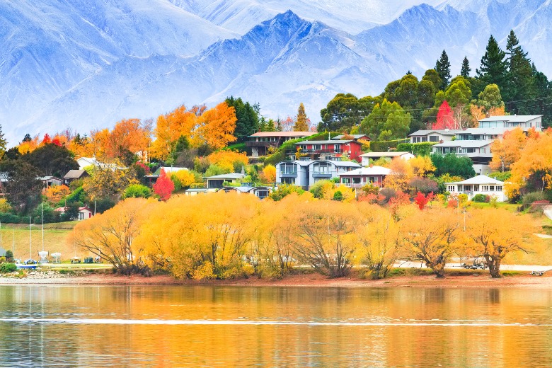 Wanaka Queenstown