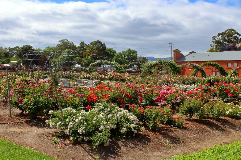 The Adelaide Botanical Gardens Adelaide