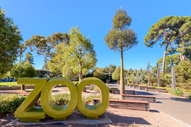 The Adelaide Zoo Adelaide