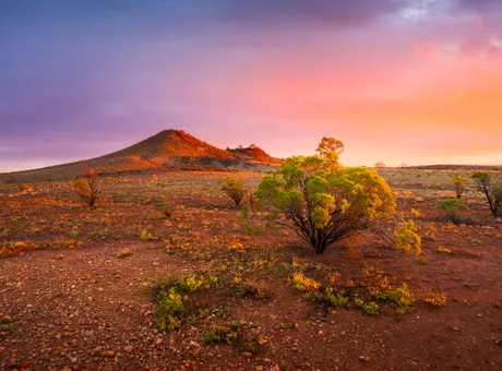 Alice Springs Australia - Travel Guide