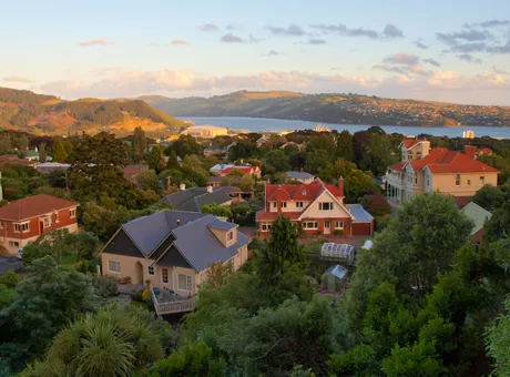 Dunedin New Zealand - Travel Guide